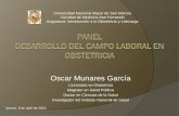 Propuesta Panel Oscar Munares 3