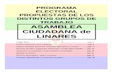 Programa Electoral Grupos de Trabajo Asamblea Ciudadana de Linares, Distintas Propuestas