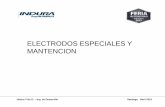 2 Electrodos de Mantención y Especiales - Hector Fritz
