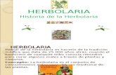 La Herbolaria en México