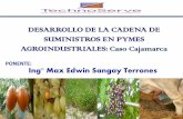 Desarrollo de La Cadena de Suministros en Pymes Agroindustriales