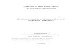 ESTUDIO DE RELLENO HIDRAULICO EN LA MINA SULFUROSA-finl.pdf