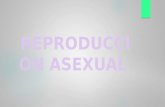 Reproducci³n Asexual