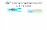 Practica de Lípidos (1).ppt