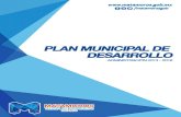Plan Municipal de Desarrollo de H. Matamoros 2013 - 2016