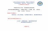 Prof. Proyecto Innivador