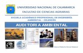 Auditoría Ambiental - Política y Derecho Ambiental.pdf
