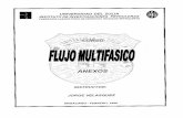 Libro F Correlaciones_Flujo_Multifasico 54pg