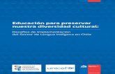 Implementacion Sector Lengua Indigena(2012)