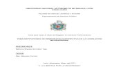 Instituciones de Democracia Participativa en La Legislacion Nicaraguense (Tesis d Parlamentario)