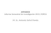 SALVA (Apéndice) Informe Semestral Inv. 2015 (Nuevo)
