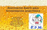 biorreactor batch
