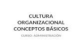 Cultura Organizacional Conceptos Basicos