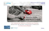 CURSO PATOLOGIA-PRESENTACION.pdf