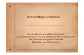 Sucesion y Entomologia Forense