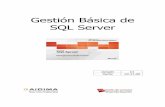 Gestión Básica con SQL Server.pdf