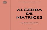 Algebra de Matrices (Mario Raúl Azocar)