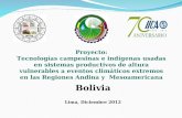Presentacion Bolivia LIMA 2[1]