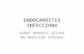 Endocarditis Infecciona