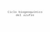 Ciclo Biogeoquímico Del Azufre