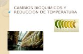Cambios Bioquimicos y Reduccion de Temperatura