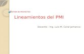 4_gestion de Proyectos Pmi