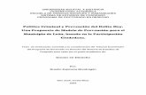 Politica Criminal y Prevencion del Delito.pdf