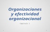 Clase 1 Organizacion y Efetividad