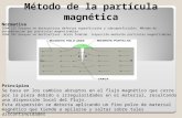 Particulas MAgneticas (PM)
