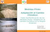 Medidas Piloto Cambio Climatico GTZ