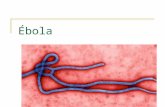 presentación sobre el ebola