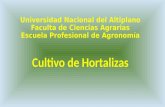 Cultivo Hortalizas 2015-I
