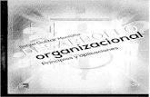 Rafael Guízar, Libro Desarrollo Organizacional. Principios y Aplicaciones, Capítrulo 7(1)