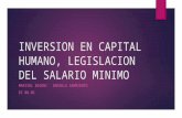 Inversion en Capital Humano, Legislacion Del Salario (1)