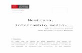 Informe 3 Membrana Intercambio Medio-celula