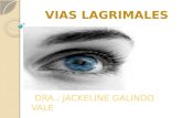 5.- Vias Lagrimales
