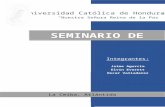 SEMINARIO-DE-SOFTWARE FINAL.docx