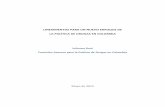 Lineamientos Para Un Nuevo Enfoque de La Política de Drogas en Colombia (Comisión Asesora de Política de Drogas en Colombia)