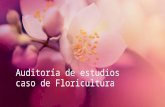 Auditoría de Estudios Caso de Floricultura