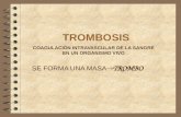 7 Clase Trombosis