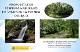 Reservas Naturales Fluviales en La Cuenca Del Tajo