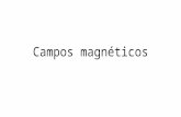 Campos Magnéticos