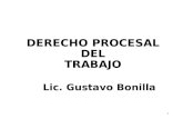 DERECHO PROCESAL LABORAL COLECTIVO.para 1er Parcial-1 4to Envio Version Final