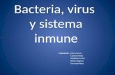 Bacterias y Virus(1).pptx