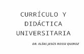 Curriculoydidacticauniversitaria Diapositivas Blancoynegro 110815150608 Phpapp01