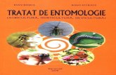 Tratat entomologie
