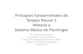 Principios Fundamentales de Terapia Neural 2015