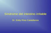 22. Trastornos Funcionales SII.dr Rios 2008 (PPTminimizer)