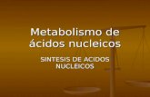 metabolismo de acidos nucleicos