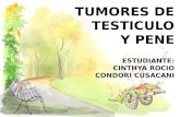 tumores de testículo y pene